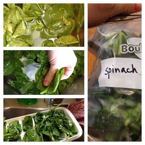 Way of solving the problem. Spinach ice cubes for smoothies. Wash, pinch, stuff in ice ...