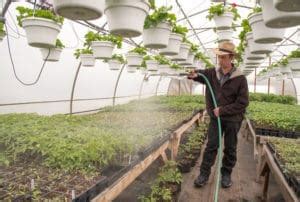 The population was 5,159 at the 2010 census. Old Order Farmer has Ivy League Role - Cornell Small Farms