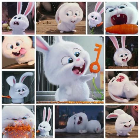 The secret life of pets 2 released it's third character trailer on tuesday, featuring super bunny captain snowball. Pin by Linggawulandari on Princesa | Cute bunny cartoon ...