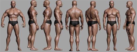 This model here is standing in the anatomical position, you can see he is standing facing forwards with his face looking towards you, his palms are facing outwards and his forearms are supinated, and his feet. Basic Anatomy and Physiology • Bodybuilding Wizard