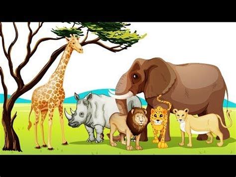 Name of wild animals Zoo - Sound of animals forest - YouTube | Animals, Animals wild, Animals ...
