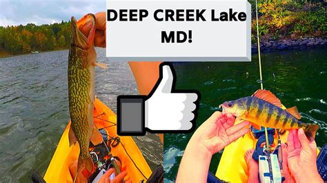 Upload, livestream, and create your own videos, all in hd. FISHING DEEP CREEK LAKE, MD! Pickerel, Pike, HUGE Yellow ...