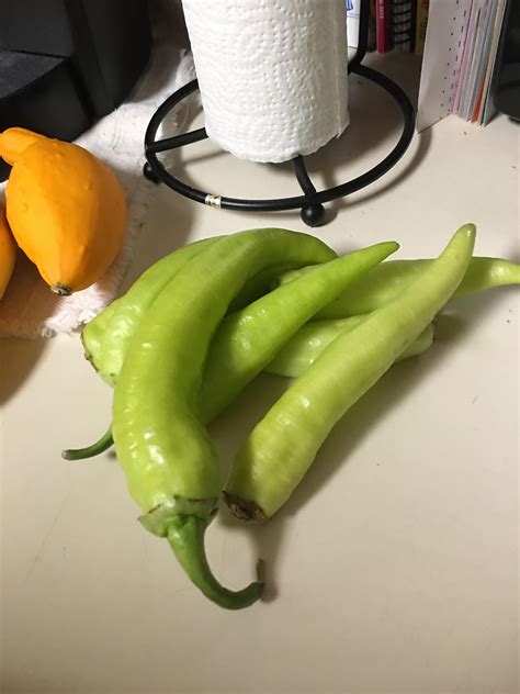 Even if you're growing peppers in. My mom insisted on planting banana peppers this year but I ...