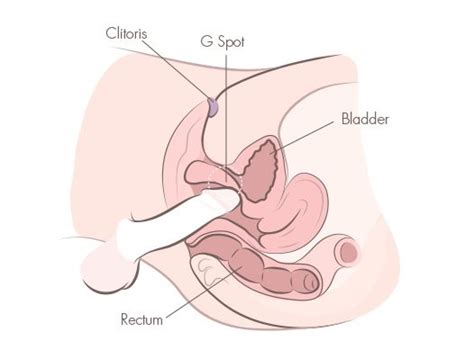 Get to watch cody cummings all alone masturbating free porn. Squirting 101: How To Squirt Like A Pornstar