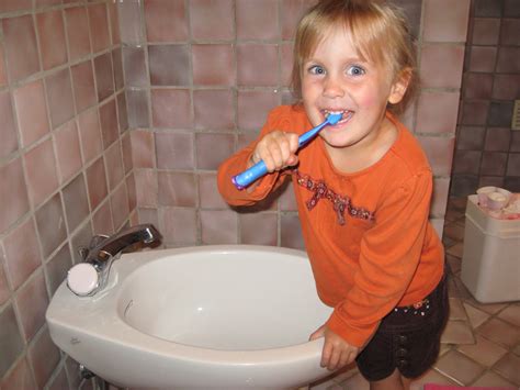 Bidet toilet seats come with an arrangement of different features. La Famille de Pierce: I'll have three bidets, s'il vous plait