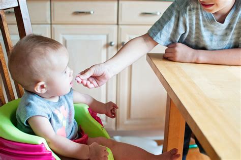 Ini 10 rekomendasi resep makanan untuk bayi berusia 8 bulan agar sehat; Ini Dia Beberapa Resep MPASI Yang Cepat Penyajiannya Untuk ...