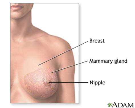 This means that the breast cancer has gone past any containing membrane(s) and/or capsules and into the surrounding soft tissue. Breast cancer | Healthing.ca