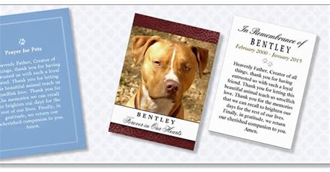 10 best pet memorial poems. Dog sympathy cards, poems & quotes