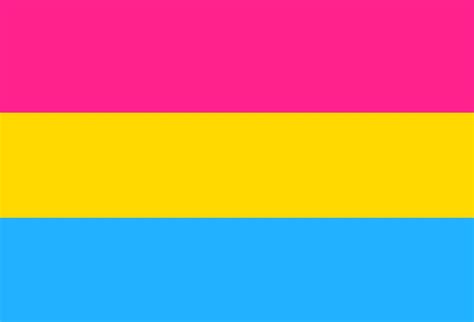 Pansexuals don't perceive gender as being something with more influence over their likeliness to experience sexual attraction towards someone than the color of their eyes. Pansexual : Lapel Pin - Pansexual flag - QX Shop ...