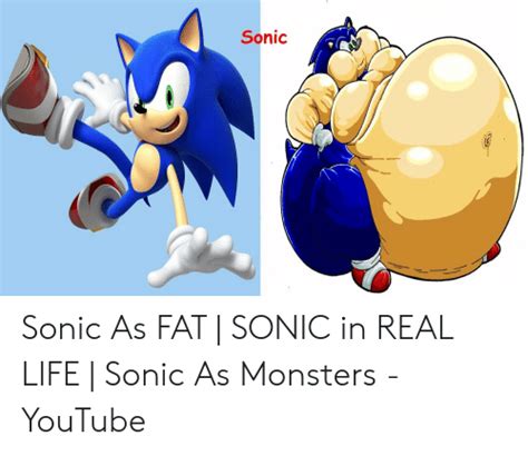 I make funny game review/analysis videos every wednesday! Sonic Pregnant Youtube : Sonic Pregnant Having A Baby ...