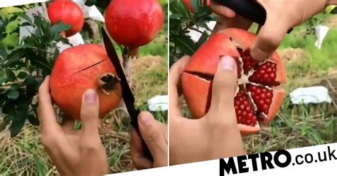 Hold your hand over the bowl and the place 1/2 of the. Does this pomegranate cutting hack actually work? | Metro News