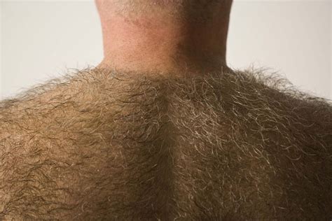 Some anthropologists have suggested that pubic hair in males might have been an ancient way of impressing and deterring other males who were in if you insist on a shorn scrotum, steixner recommends going for an electric razor over a straight razor. What You Need To Know About Going Gray In Your 20s | HuffPost