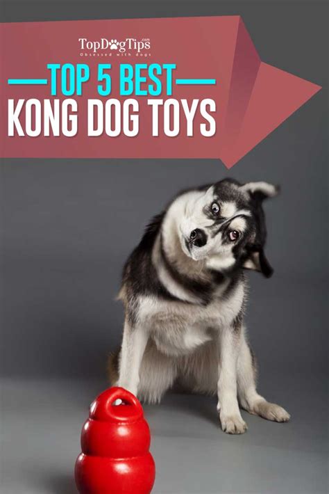 Best dog toys for dogs & puppies in 2021/2022. The Best KONG Dog Toys of 2020 (Interactive, Puzzle ...