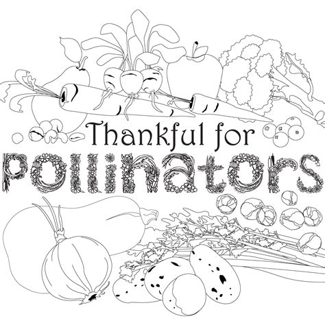 Coloring books aren't just for kids: pollinator coloring sheet - My Chicago Botanic Garden