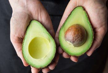 It takes 10 to 15 years for an avocado tree to bear fruits if you grow it from the seed. How to Make an Avocado Tree Bear Fruit | Home Guides | SF Gate