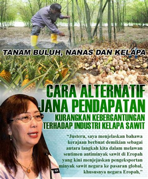 Industri buluh sumber baharu ekonomi negara. - Isu Semasa ...