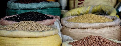 Zinco, un elemento chimico che sappiamo tutti essere nel nostro corpo, ma dove e perché? Acido fitico negli alimenti: Aspetti negativi ma anche ...