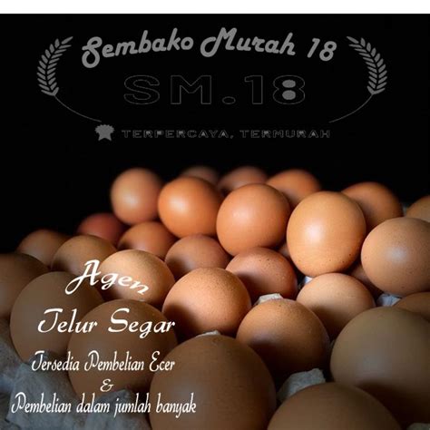 Telur ayam bangkok warna coklat. Telur Ayam 1 kg Negeri Padang Segar Grosir / telor fresh ...