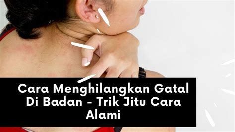 Hampir setiap orang tentu pernah merasakan gatal. Cara Menghilangkan Gatal Di Badan - Trik Jitu Cara Alami ...