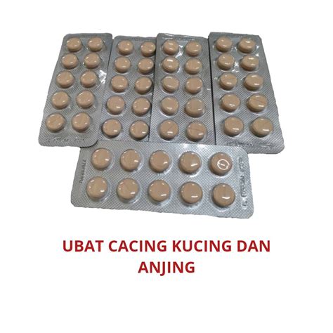 Drontal cat wormer/ ubat cacing untuk kucing 1 via shopee.com.my. Dos Ubat Cacing Untuk Anak Kucing - Masaran n