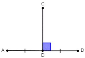 The blue line is the bisector. Revision Notes for Maths Chapter 5 - Understanding ...