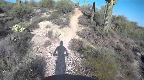 On the cave creek section, there are two crested saguaro cacti, lots of trees, birds, and beautiful pools, in season. Go John Trail Cave Creek Counter Clockwise - YouTube