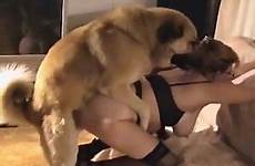 mature dog zoo her doggy videos pose nerdy impaled gets female style tube