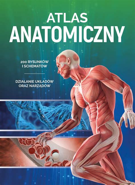 Czy klawiatura nie działa właśnie po zakończeniu. Atlas anatomiczny - Joanna Mazurek - ebook - virtualo.pl