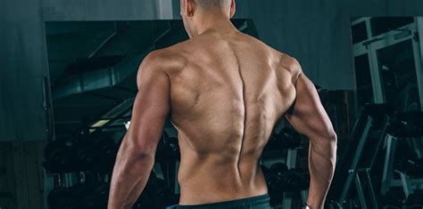 2 or back side : Pendlay Rows Technique - What Every Man Should Know - Urbasm