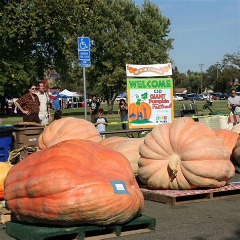 Check spelling or type a new query. PUMPKIN Giant Alantic | Pumpkin, Garden soil, Amazing gardens