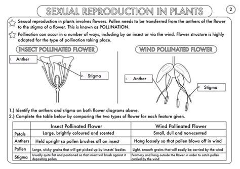 The female reproductive part of a flower is called the pistil. Plant Reproduction Worksheet Pack by beckystoke - Teaching ...
