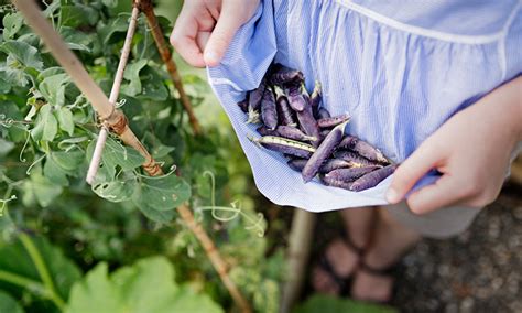 Nicht jeder hat das glück, neben seiner wohnung oder seinem haus auch einen garten zu haben. Einen Schrebergarten in Köln pachten | KÄNGURU Magazin