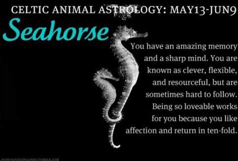 205 days remain until the end of the year. Celtic Animal Astrology - May 13 to June 9 | Celtic zodiac ...