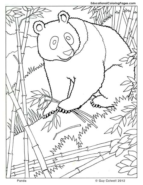 Download Download Mammal coloring for free - Designlooter 2020