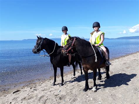 The isle of arran tourism directory web site is a comprehensive online guide for the scottish isle of arran containing information on hotels and self catering accommodation to visit any of the isle of arran's 8 regions: Cairnhouse Stables, Blackwaterfoot, Isle of Arran, Scotland