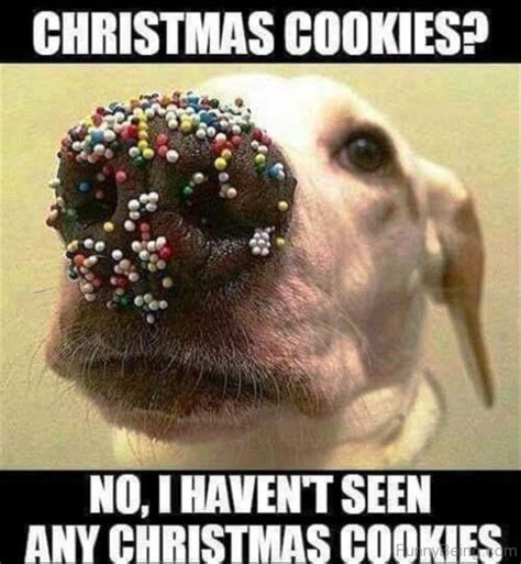 Find the newest christmas cookie meme. 25 Naughty Christmas Memes For You