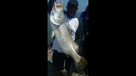 We did not find results for: Mancing Kakap Putih 25 Kg di Pantai Dadap Indramayu - YouTube