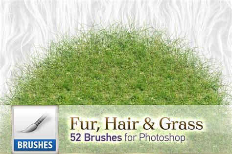 We did not find results for: Fur, Hair and Grass Brushes | Graphic design tools ...