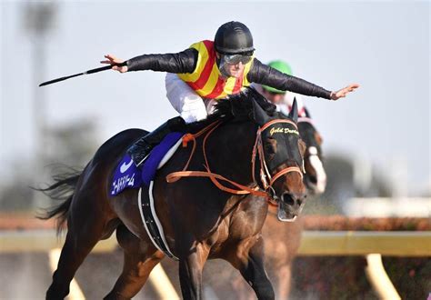 6:14 ジェシーの競馬やるぞチャンネル 4 070 просмотров. フェブラリーステークス 2018【予想】勝ち馬は「5強」の中に ...