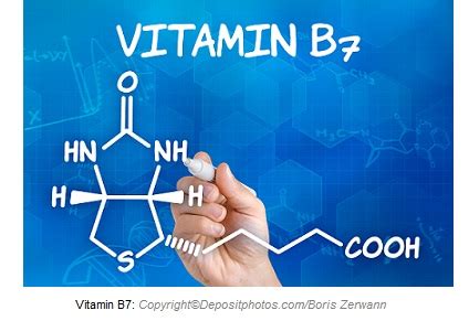 They also add fiber to the body which helps in the. Vitamin B7 (Biotin)