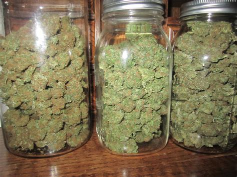 He knew some people who'd coped with their weed withdrawal symptoms with herbs, and they'd been clean for over a year. Guide to Identifying and Understanding "What is Good Weed ...