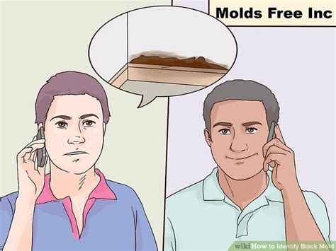 Black mold grows slowly, only assuming its distinctive black coloring when it has become fully established. 3 Ways to Identify Black Mold - wikiHow