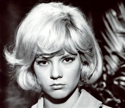 Sylvie vartan dans sept à huit : Sylvie Vartan, 1964 | 60s hair, Hair styles, Retro hairstyles