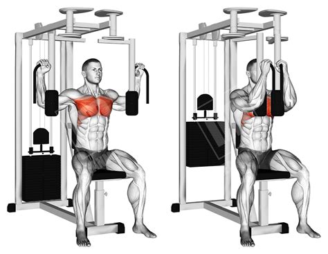 The rib cage is made of bones with intercostal muscles allowing them to expand and contract when breathing. massive chest workout - Meanmuscles