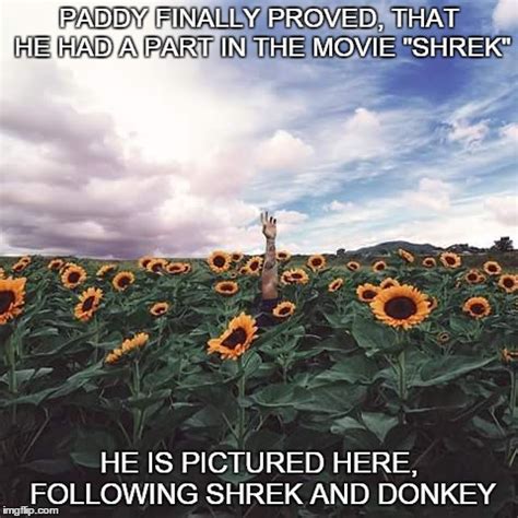 Risen and risen meme on ballmemes com. Paddy and Shrek - Imgflip