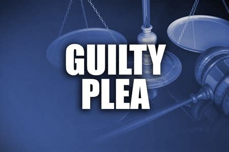 How to use plea in a sentence. Woman pleads guilty in DUI crash that killed Lexington man ...
