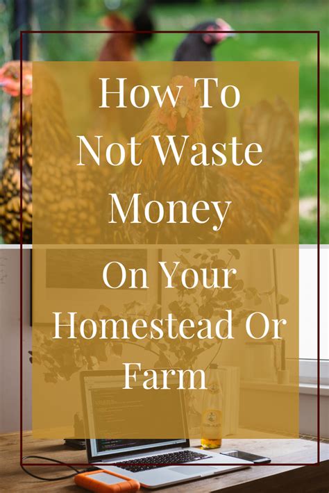 Maybe you would like to learn more about one of these? Pin on Homesteading For Beginners