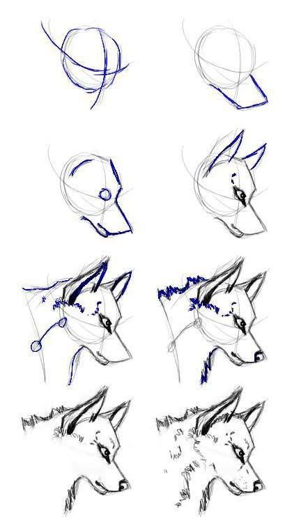 Learn how to draw animals easily with our step by step methods for realistic drawings. This is just the simplified process of drawing a wolf head ...