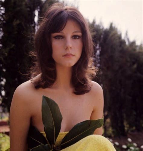 Stefania sandrelli, the sexiest leading lady of italian cinema of the 1960s (divorce, italian style), whose acting talent was furthered by bernardo bertolucci in the 1970s (the conformist), spoofs her. Italian Classic Beauty: 50 Gorgeous Photos of Stefania ...