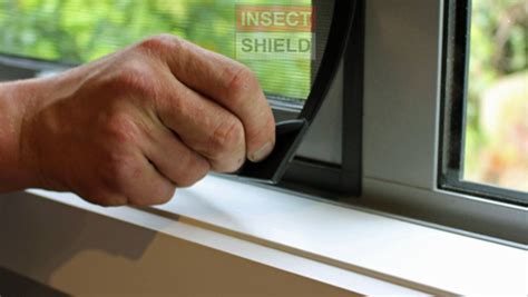 Take our insect screening quiz! Mosquito Net Window and doors with 5 Year Warranty-India's No,1 Brand